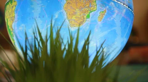 Globe details - behind the grass in interior Stock Footage 49761414