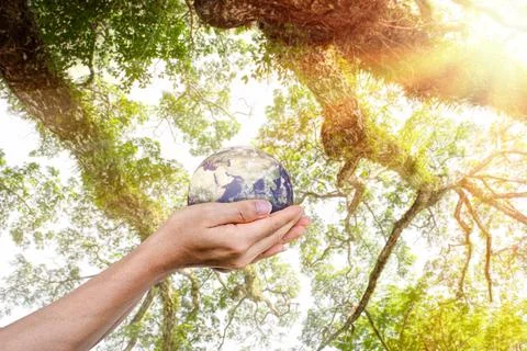 Globe, earth in human hands over green nature background. Idea for save the w Foto stock
