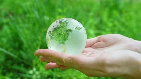 Globe in green forest. Environment protection concept. Ecology. Sustainable soci Stock Footage 177820419