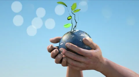 A globe in his hands grows green tree Video stock 40414476