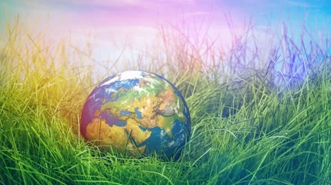 Globe lies on green grass. Concept - Earth Day. Stock Footage 62452876
