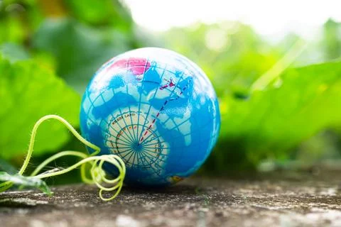 Globe model on green leaf nature background, earth world in forest growth 스톡 사진