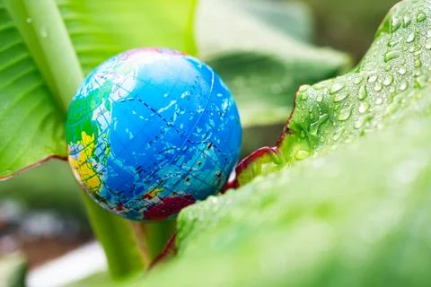 Globe model on green leaf nature background, earth world in forest growth Stockfoto's