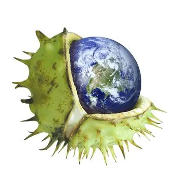 Globe protected in a broken chestnut shell, symbol of environmental Stock Illustration