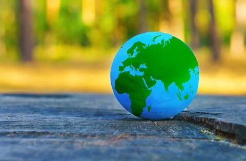 Globe Resting on a Tree Stump in the Forest 스톡 사진