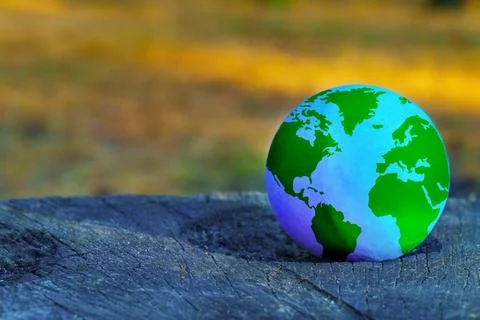 Globe Set on a Huge Tree Stump in the Woods Stock-Fotos