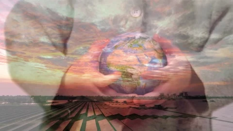 Globe Silhouette Over Solar Panel Farm Stock-Footage 336479297