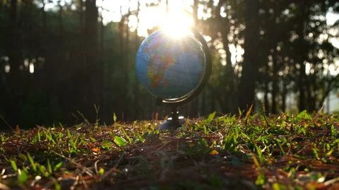Globe sphere model on grass against natural background and warm sunlight Stock Footage 227852980