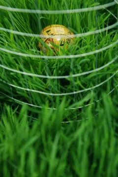 Globe surrounded by wire mesh on grass Stock Photos