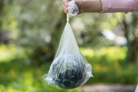 Globe in a white plastic bag. Concept of an environmental disaster. Stock Photos