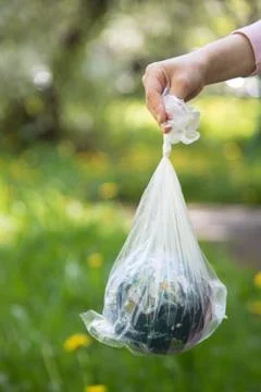 Globe in a white plastic bag. Concept of an environmental disaster. 스톡 사진