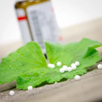 Globuli on leaf Foto stock