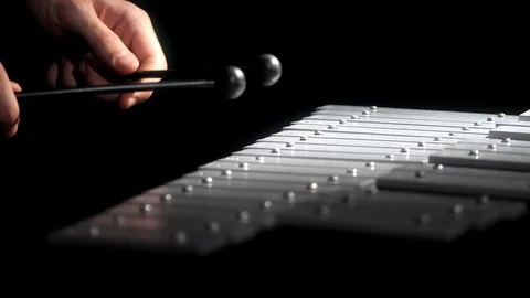 Glockenspiel Player Stock Footage 111933174