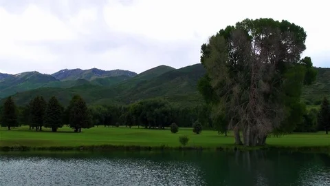 Gloo my golf course Stock Footage 74089292