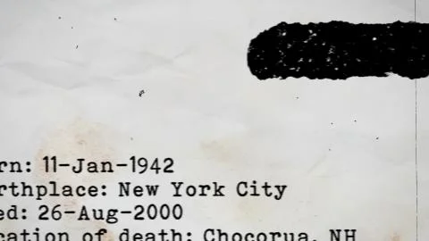 A gloomy 3d rendering of a criminal record of some prisoner who was born in N Illustrazione stock