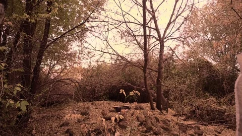 A gloomy abandoned place Stock Footage 289007089