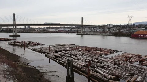 Gloomy day on logging river - 2 shots Stock Footage 40704176