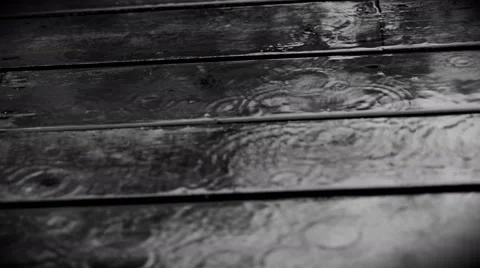 A gloomy day in the spring Stock Footage 51139870