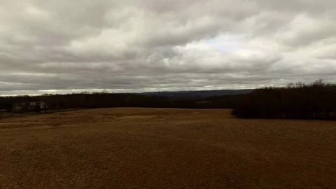 Gloomy Field in Park Video stock 77631096