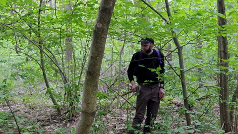 Gloomy hiker with backpack looking around in dense green forest Stock Footage 336970096