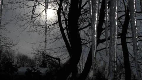 Gloomy Icicles Melting Stock Footage 1183312