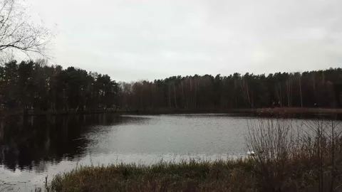 Gloomy lake Stock Footage 164674019