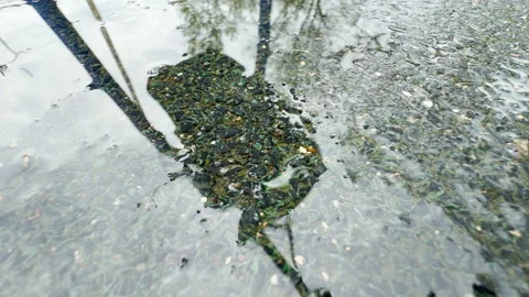 Gloomy Playground Swing Set Standing Empty On A Wet Rainy Afternoon Stock Footage 335408702