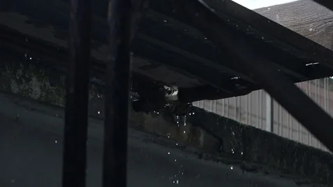 Gloomy rainy day  Video stock 79853302