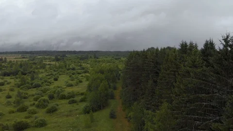 Gloomy rainy forest low clouds flight over the edge aerial Stock Footage 116865820