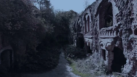 Gloomy ruins in moonlight. Stock Footage 162929674