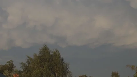 Gloomy storm clouds over tree tops Stock Footage 124516013