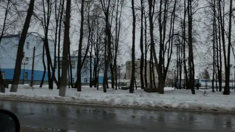 Gloomy trees and buildings Stock Footage 80505819