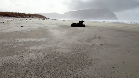 Gloomy windy sandy view of cloudy beach Stock Footage 129908684