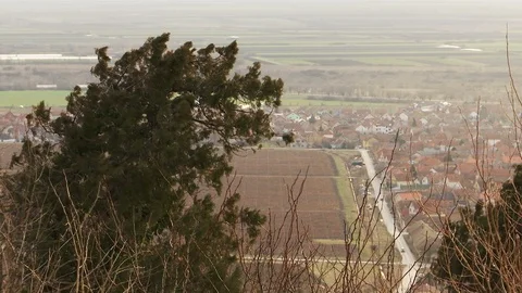 Gloomy winter day with the wind Stock Footage 102270222