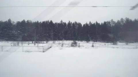 A gloomy winter forest, view from a window of a passing by transport Vídeos de archivo 143685223