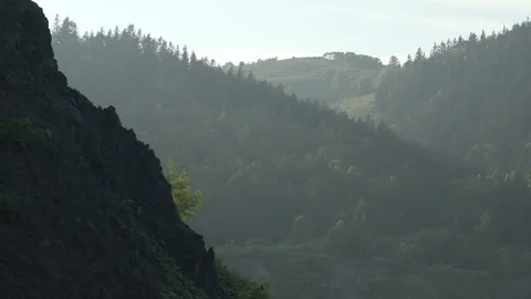 Glorious decay Stock Footage 117831713