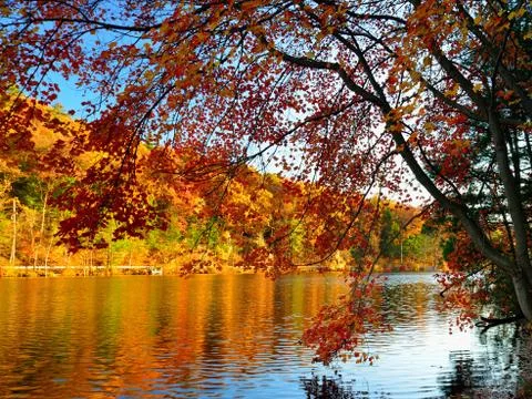 Glorious fall colors Foto stock