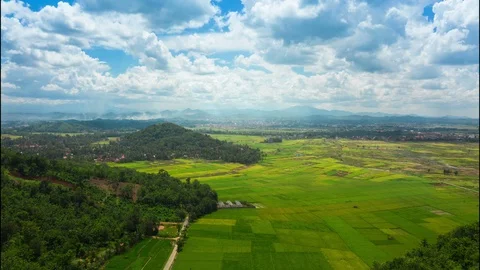 Glorious Hyperlapse of Rice Field In Indonesia Stock Footage 113523966
