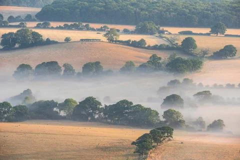 Glorious landscape image of layers of mist rolling over South Downs National  Foto stock