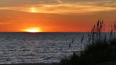 Glorious orange sunset with Gulf of Mexico and sea oats waving in sea breeze Stock Footage 73229809