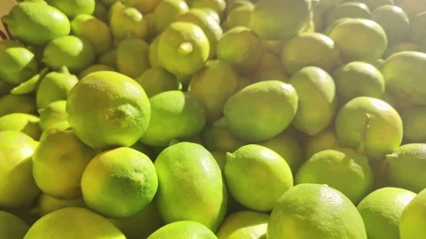 Glorious Pile of Fresh Lemons in Real Sunlight Stock Footage 306030848