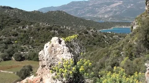 Glorious top view zoom in Stock Footage 11031973