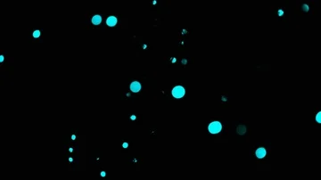 Glorious turquoise bokeh Stock Footage 85569564