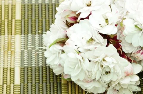 Glory bower flower Stock Photos