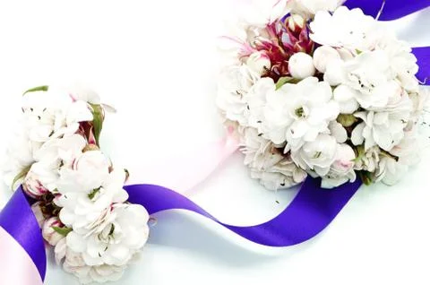 Glory bower flower Stock Photos