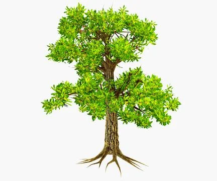 Glossopteris Permian Tree Stock Illustration