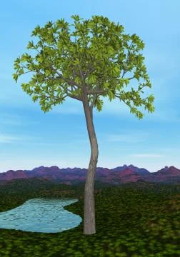 Glossopteris tree - 3D render Stock Illustration