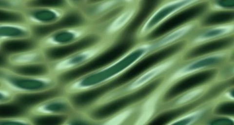 Glossy 3D rendered wave surface with deep forest green tones 스톡 일러스트