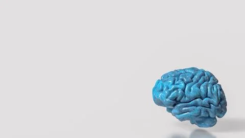 Glossy Blue Human Brain Model 3d render.. Stock Illustration