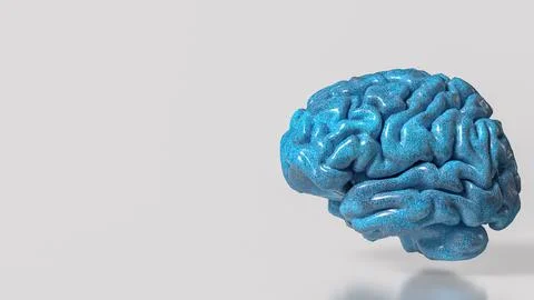 Glossy Blue Human Brain Model 3d render.. Stock Illustration